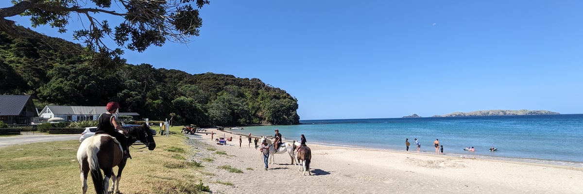 Taupo Bay - Image 5