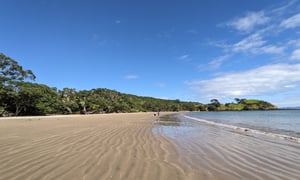 Coopers Beach