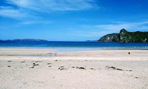 Taupo Bay